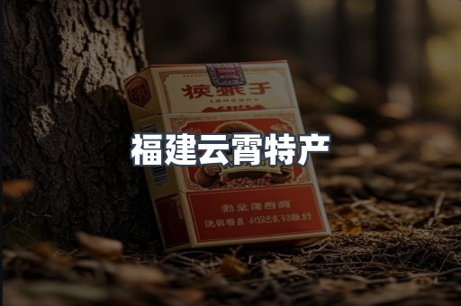 福建云霄特产